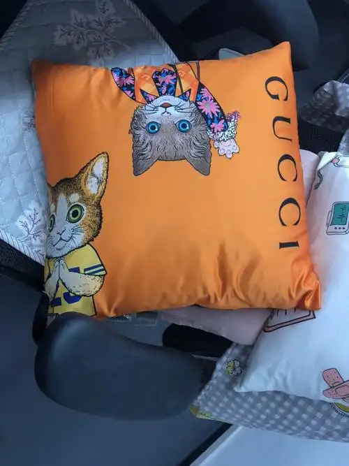 8块钱的古驰抱枕到了