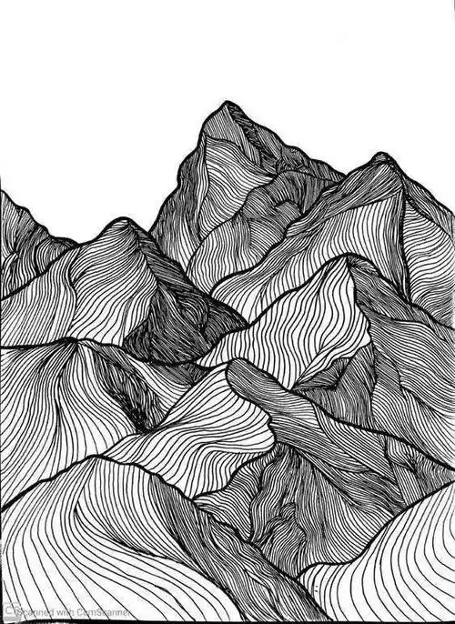 线条是绘画造型的重要手段之一,有丰富的表现力.