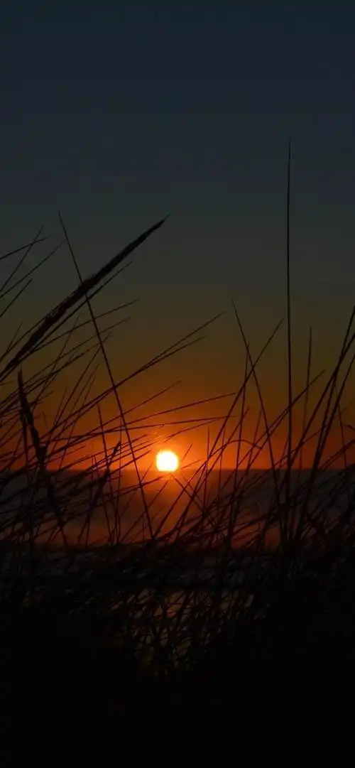 抖音壁纸4月26日最火墙纸