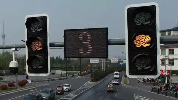 惊喜红牡丹停绿牡丹行洛阳部分红绿灯变漂亮牡丹花