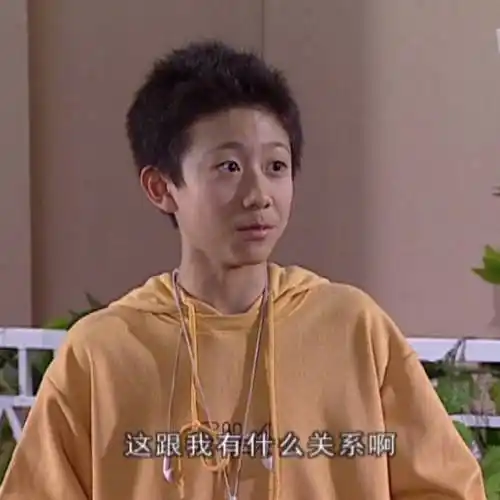 这跟我有什么关系啊(家有儿女刘星表情包)_关系_儿女_家有_刘星表情