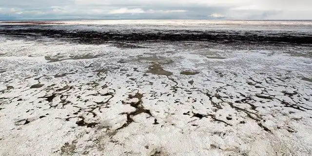 俄罗斯冻土层现巨大狼头,竟是四万年前古狼,保存好有望"复活"