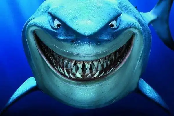 鲨鱼有多少颗牙齿鲨鱼牙齿可以避邪吗