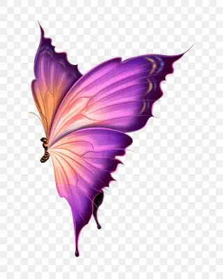 梦幻蝴蝶翅膀素材-梦幻蝴蝶翅膀元素图片下载-觅知网