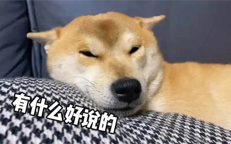 当男生问你为什么不说话时!给ta看!