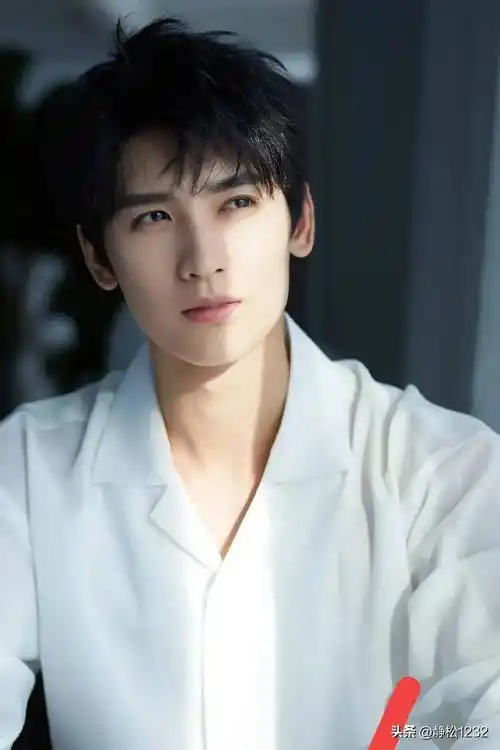 观众最喜爱的男艺人排名成毅23邓为16张凌赫14王鹤棣第5
