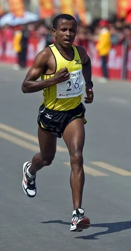 原创2015年到2019沈阳马拉松又一次升级没有参加过的还不赶快