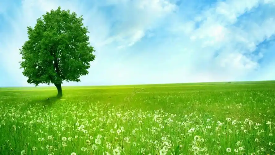 精选蓝天白云护眼电脑桌面壁纸下载高清大图预览1920x1080_风景壁纸下