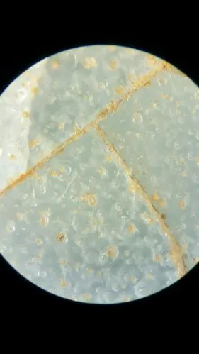 宋代官窑瓷器及微观图