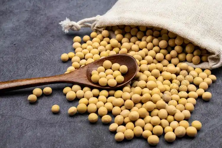 一袋黄豆高清摄影图素材