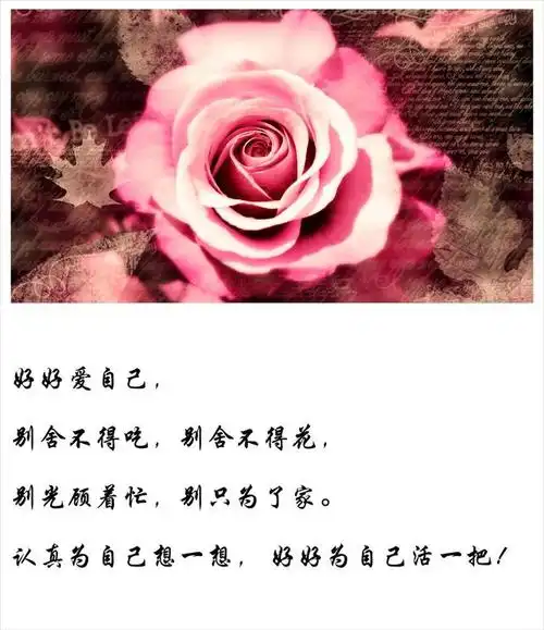 好好爱自己,每天都是情人节(很暖)