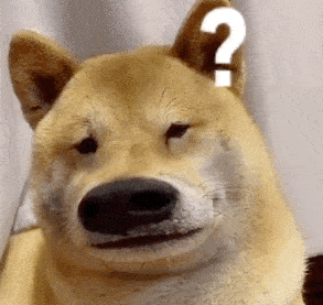 沙雕有趣的狗子