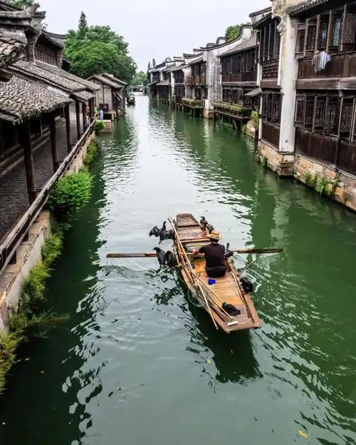 被誉为江南水乡no.1,这座神奇小镇有着你梦中的江南风景