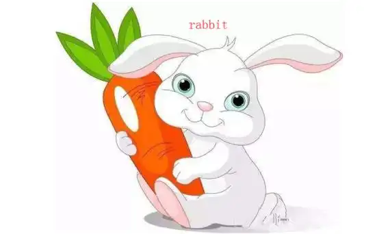 兔子用英语怎么写 - 你问我答网
