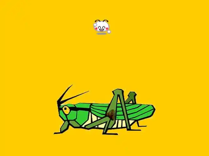 5送给盲婆婆的蝈蝈3.ppt