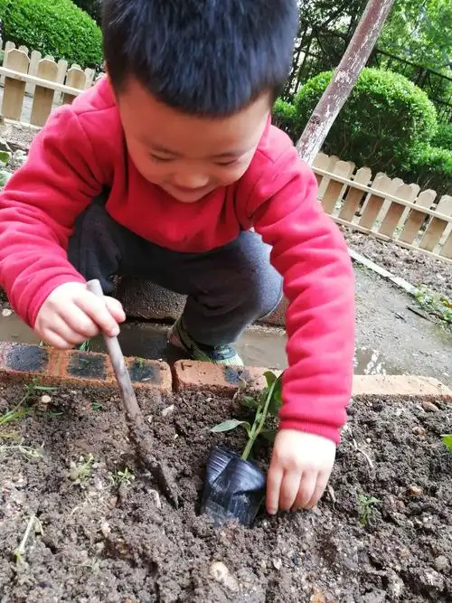 清明前后,种瓜点豆