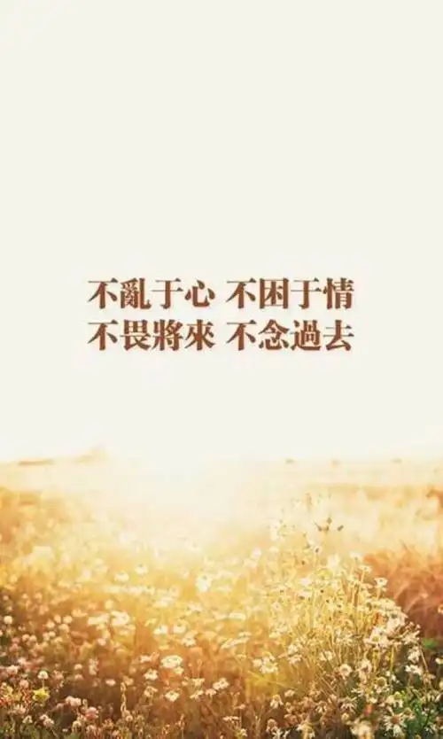 微信朋友圈一段话,火的不得了