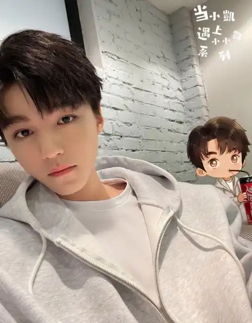 小凯与小小凯系列