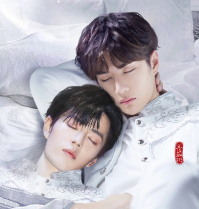 肖战王一博cp粉头退圈,忘羡女孩:她走了,陈情令的宣传就没了