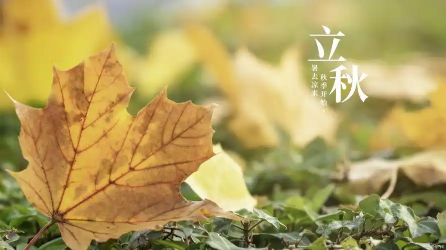 天天爱卡2021年8月7日星期六辛丑六月廿九立秋