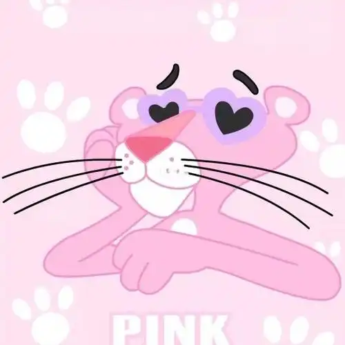 哪位达人有粉红顽皮豹图片 打算做qq头像 要好看的.
