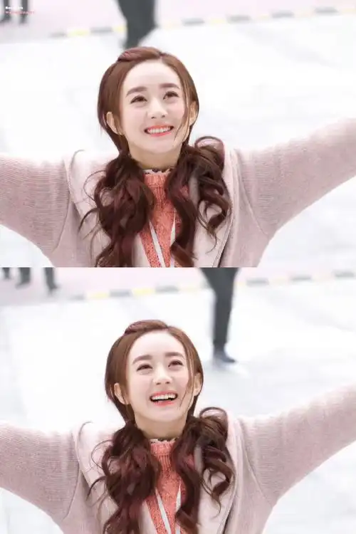 赵丽颖楚乔传发布会旧照