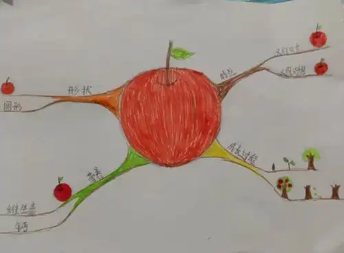 思维导图作业点评第一期