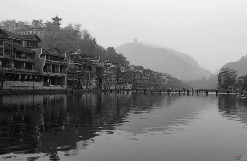 早安中国鸟网黑白影像版