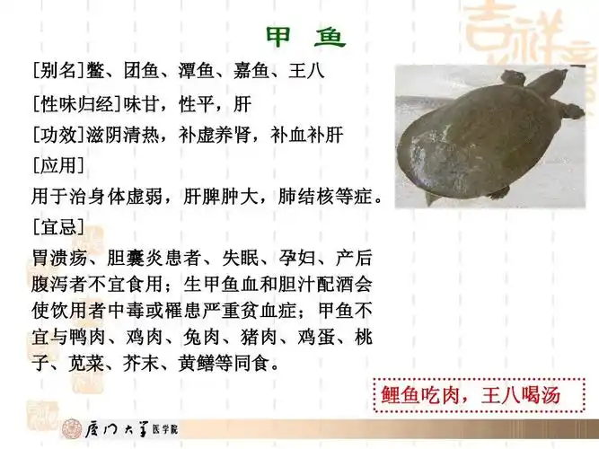 甲 鱼 [别名]鳖,团鱼,潭鱼,嘉鱼,王八 [性味归经]味甘,性平,肝 [功效]