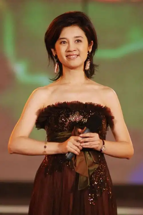 许戈辉丁健个人资料简介(丁健前妻为何败给许戈辉)(28)