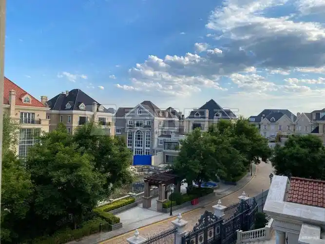 豪宅恒大丽宫 9米挑空500平开阔花园 尊享金色18洞高尔夫,丽宫别墅