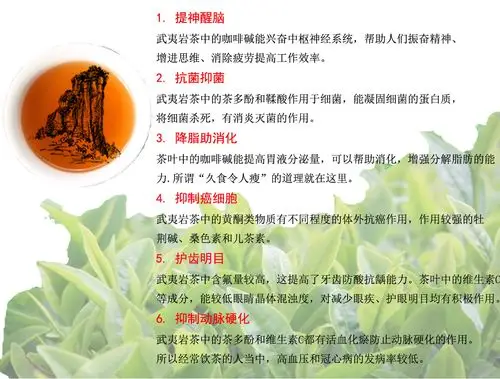 武夷山花香梅占送礼** 天然茶园茶叶炭火烘焙原产地茶农**