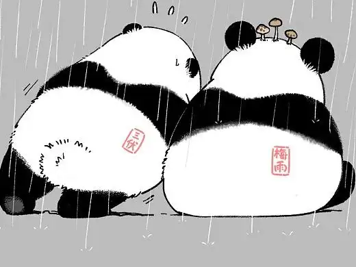 1w971356奇思和圆宝2年前新年微信表情包贡献,祝大家新年快乐!