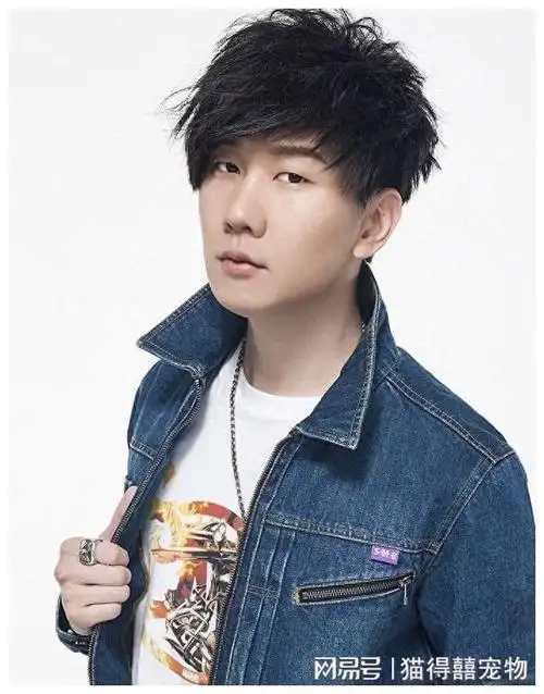 "风水轮流转",细扒乐坛"四大天王"现状,才懂林俊杰有多精明