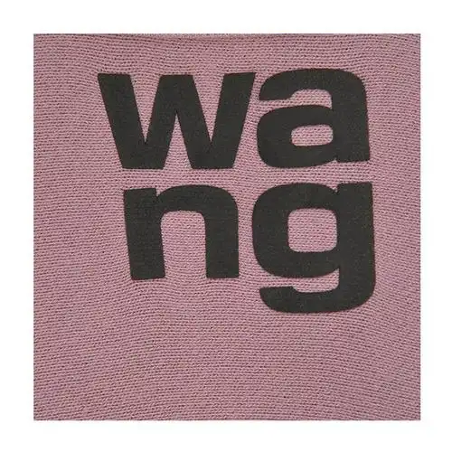 alexander wang/亚历山大·王 19年秋冬 套头 女性 胸标 宽松 女卫衣