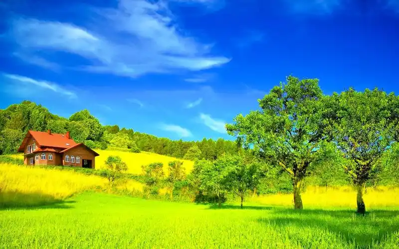 人活得其实是一种心态,心态好心情才能好,过好阳光下的美好人生