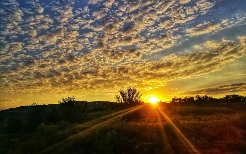 清晨,寂静的大地被一缕霞光唤醒,万物即呈生机勃勃!