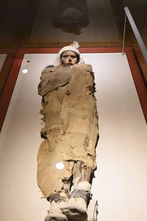 美女干尸,眼睫毛清晰可见.