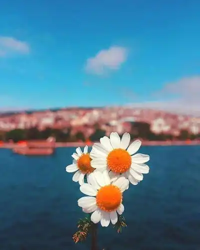 暖心文案|善待他人,做一个让别人的生活充满阳光的人!