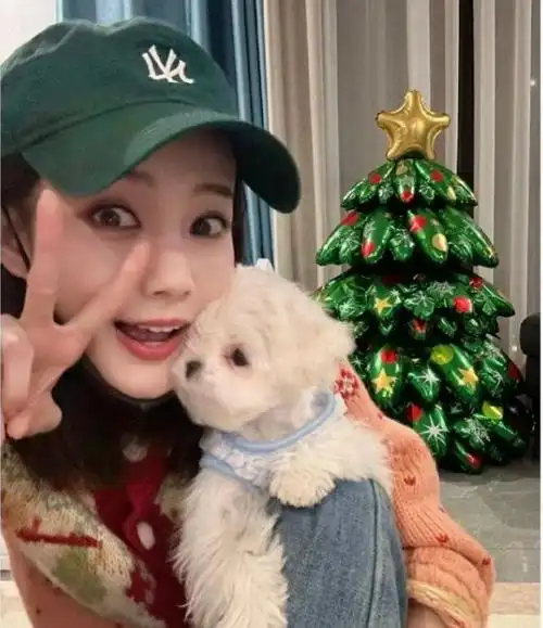 又来一对姐弟恋?|绯闻|宋轶|毕雯珺|李一桐|小鲜肉_网易订阅