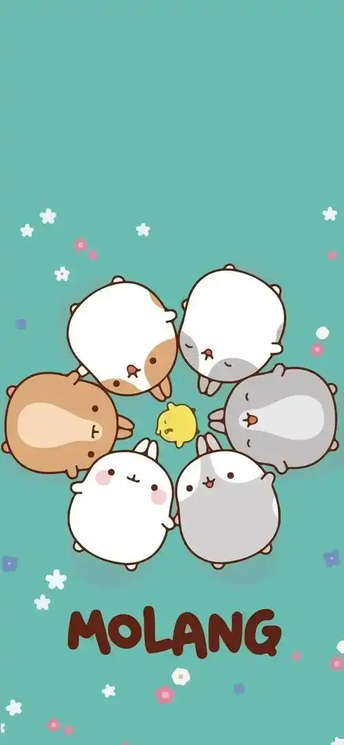 壁纸|锁屏 主屏搭配套图