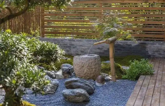 小院"水系"的设计,你想要的都在这里!|庭院|水景|绿化区_网易订阅