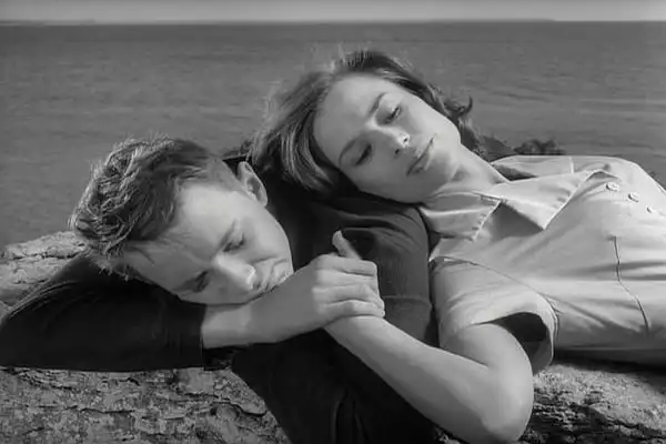 凄绝残酷的世间,浮沉绝望的美——我的十大爱情片