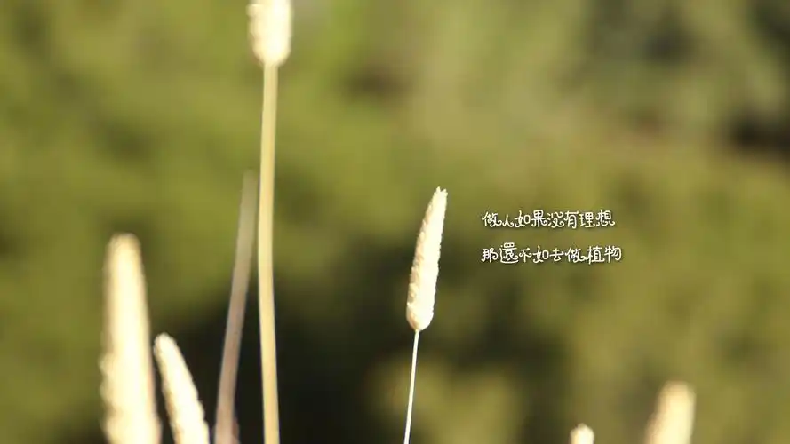 励志正能量名言高清桌面壁纸