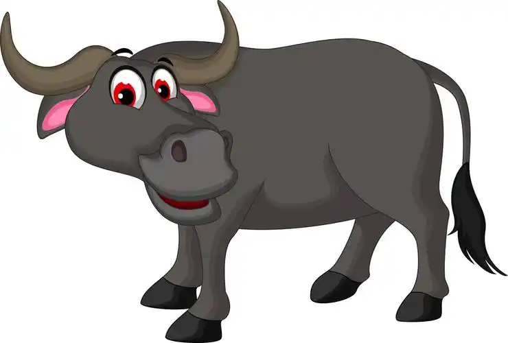 水牛图片_水牛图片大全_全景图片网