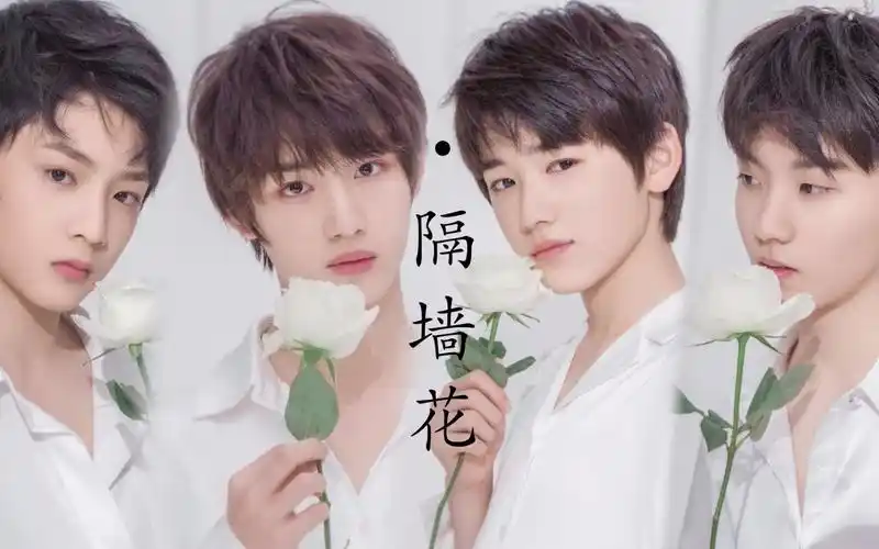 【祺鑫/文轩/文鑫/祺轩】隔墙花