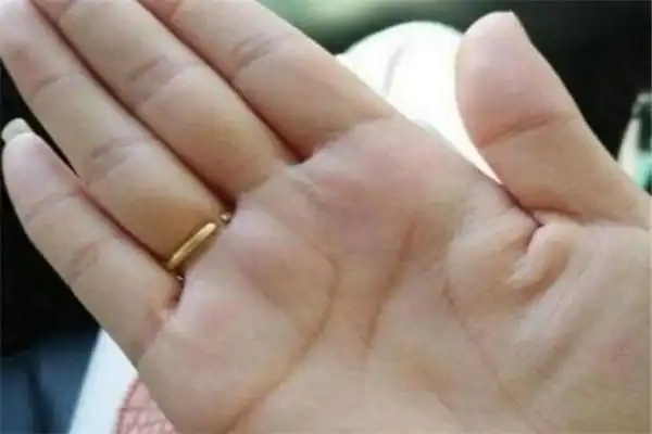 真正的凤眼纹有几种构成凤眼纹需具备三个条件