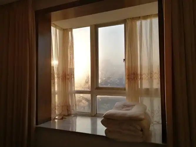 不知不觉已元旦.窗外传来鸟语声,窗台阳光照身上.