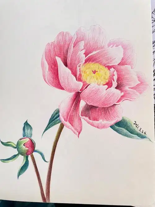 这个很简单,适合初学着自学,普通素描纸,马可24色彩铅#治愈  #彩铅画