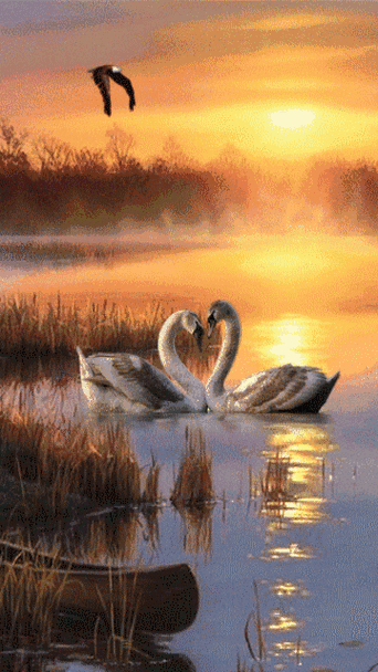 360_640竖版 竖屏gif 动态图 动图